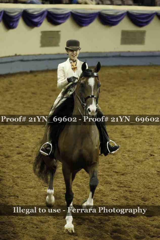 Proof Number 21YN_69602