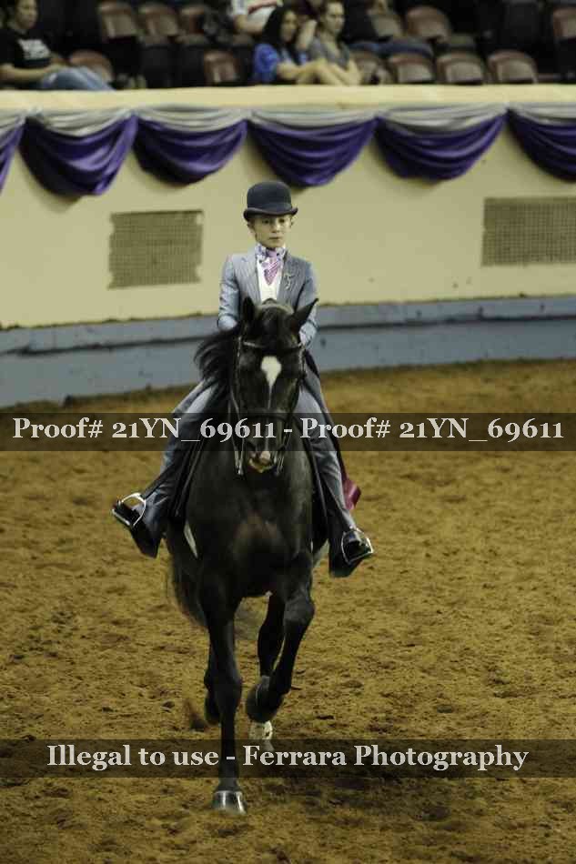 Proof Number 21YN_69611
