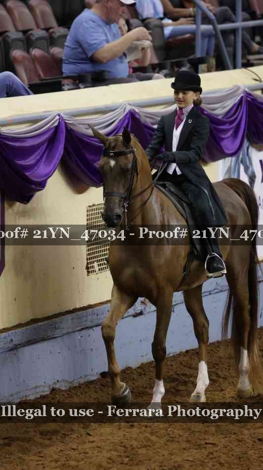 Proof Number 21YN_47034