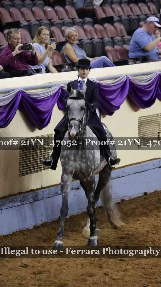 Proof Number 21YN_47052