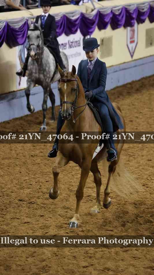 Proof Number 21YN_47064