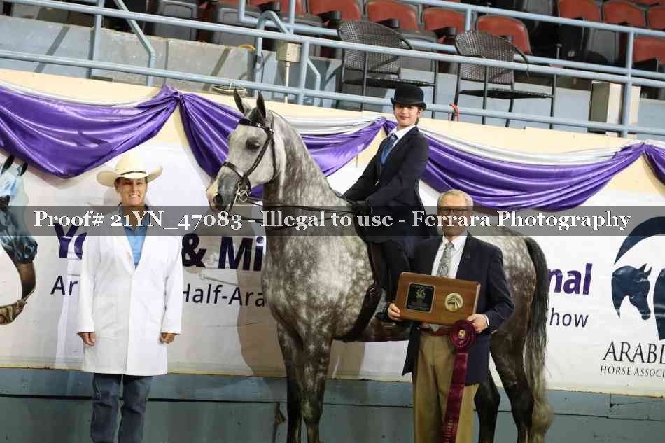 Proof Number 21YN_47083