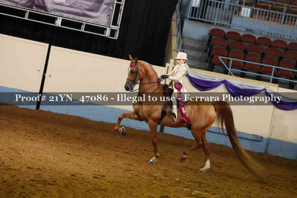 Proof Number 21YN_47086