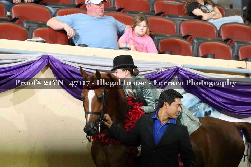 Proof Number 21YN_47117