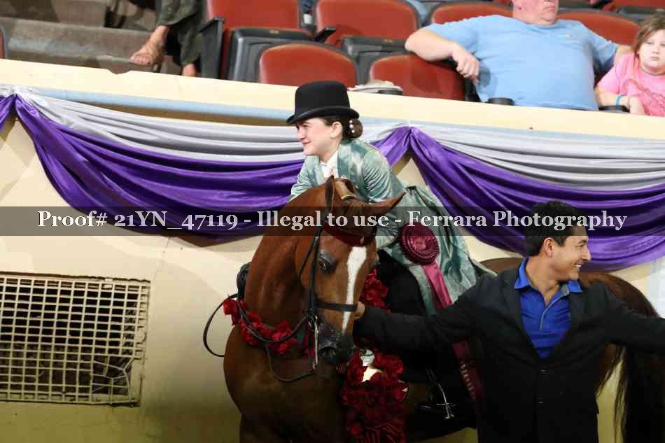 Proof Number 21YN_47119