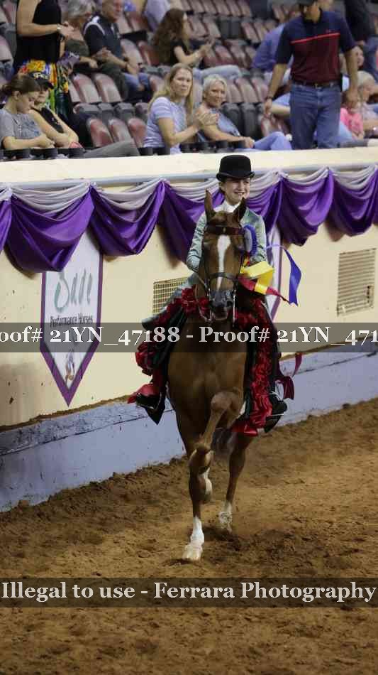 Proof Number 21YN_47188