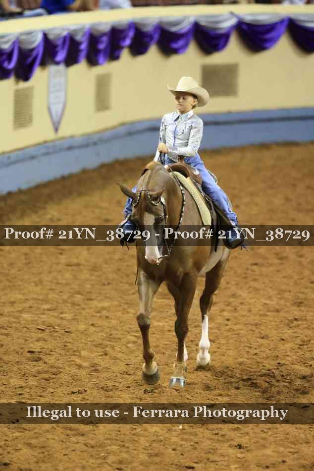 Proof Number 21YN_38729