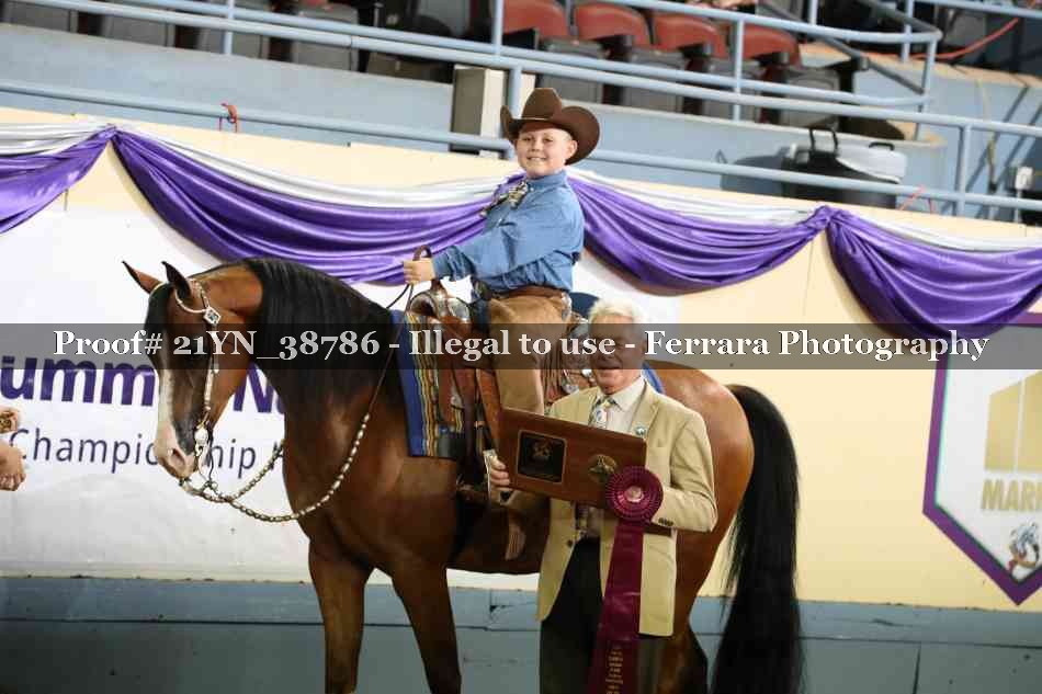 Proof Number 21YN_38786