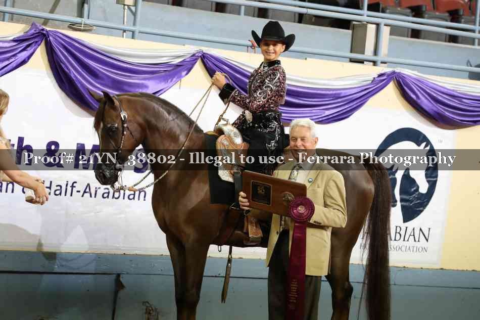 Proof Number 21YN_38802