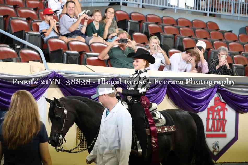 Proof Number 21YN_38838