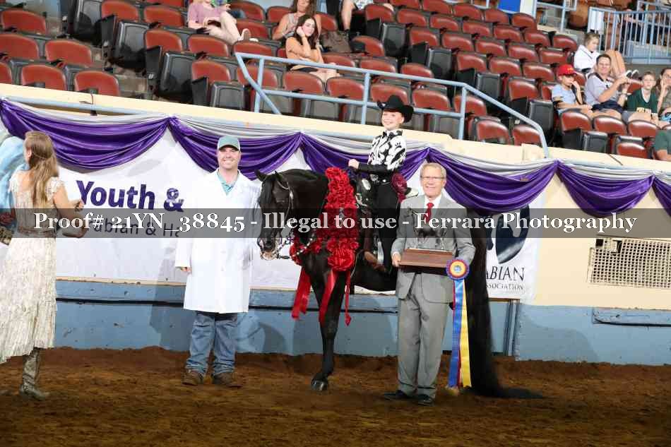 Proof Number 21YN_38845