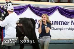 21YN_38851 thumbnail