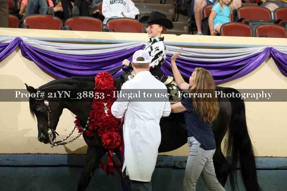 Proof Number 21YN_38853