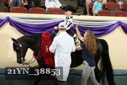 21YN_38853 thumbnail