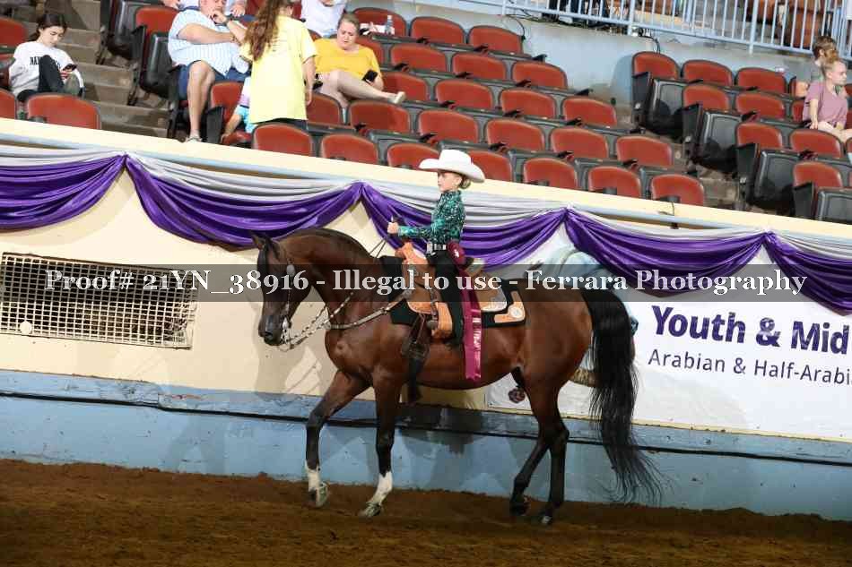 Proof Number 21YN_38916