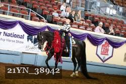 21YN_38942 thumbnail