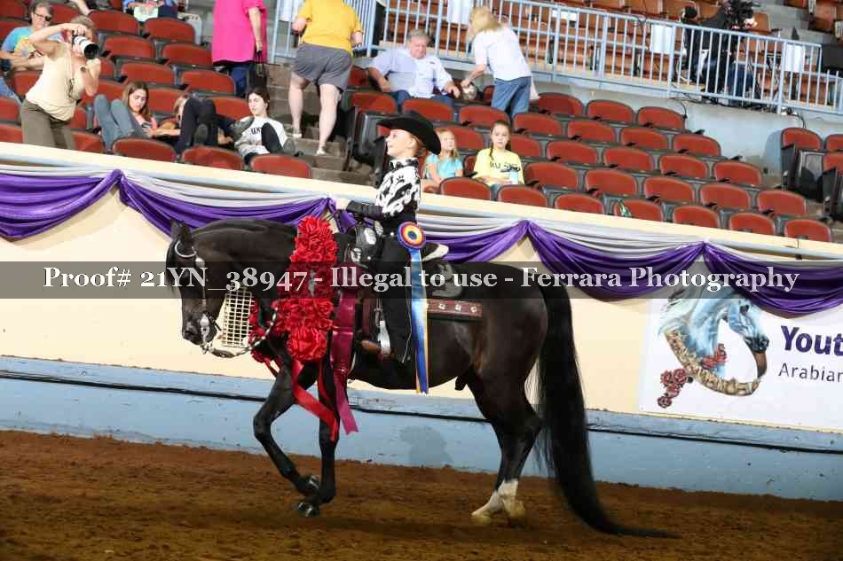 Proof Number 21YN_38947