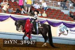 21YN_38947 thumbnail