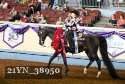 21YN_38950 thumbnail