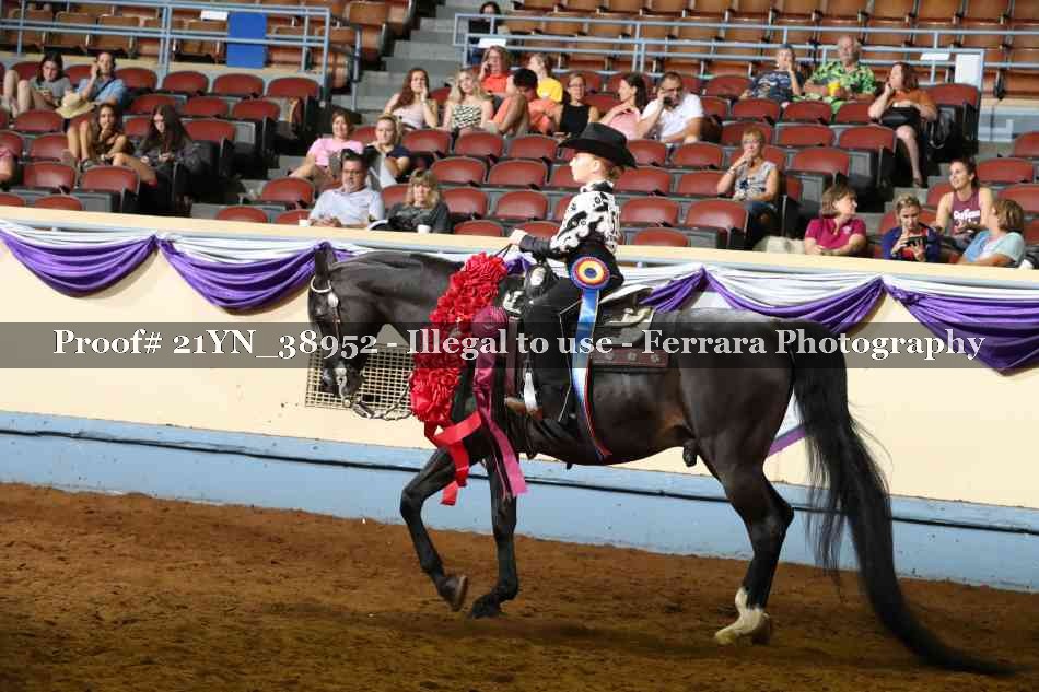Proof Number 21YN_38952