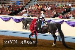 21YN_38952 thumbnail