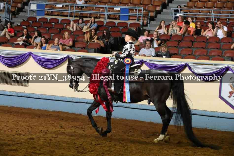 Proof Number 21YN_38954