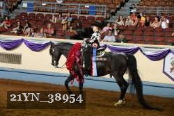 21YN_38954 thumbnail