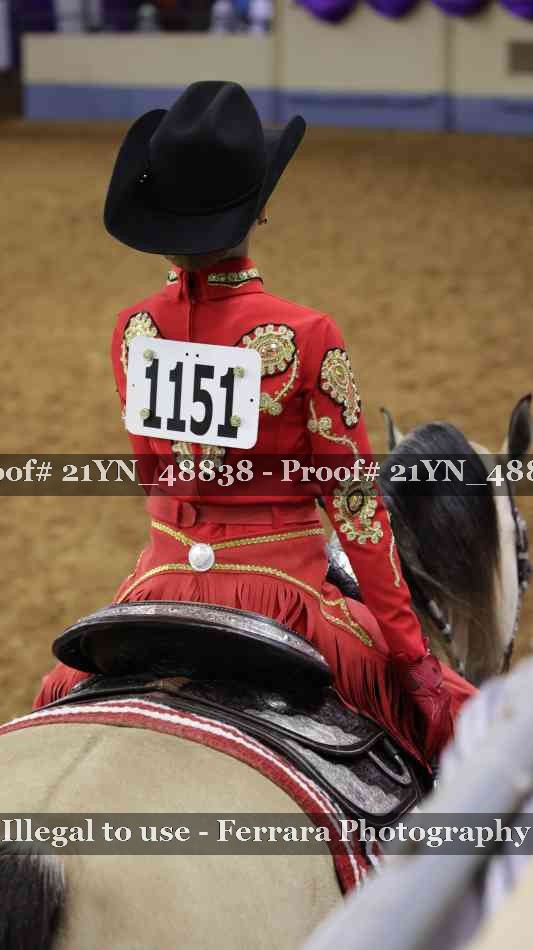 Proof Number 21YN_48838