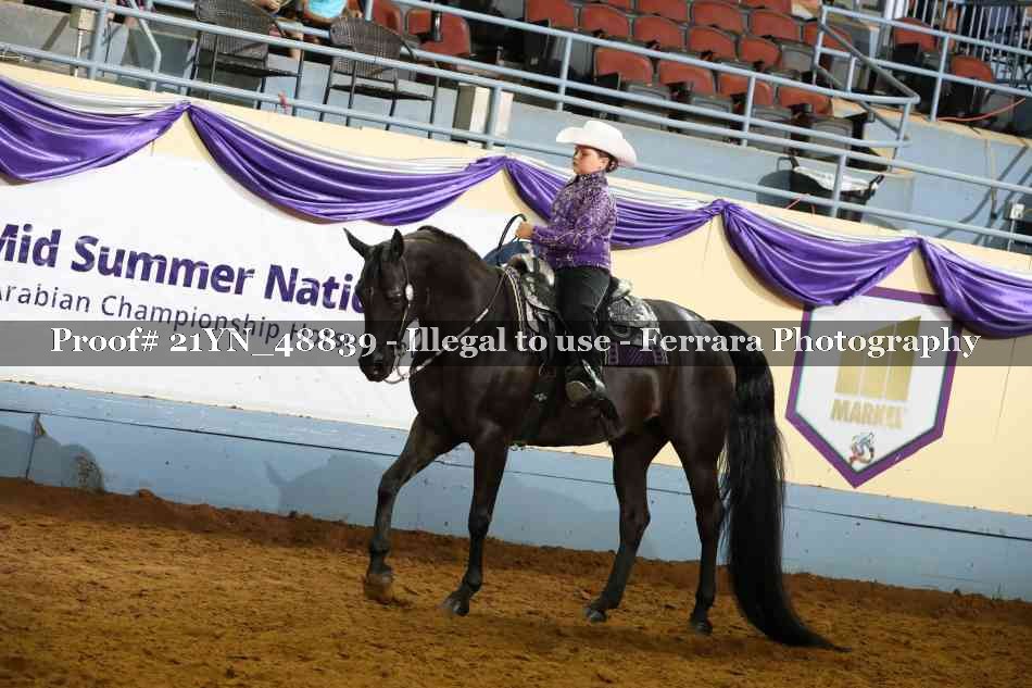 Proof Number 21YN_48839