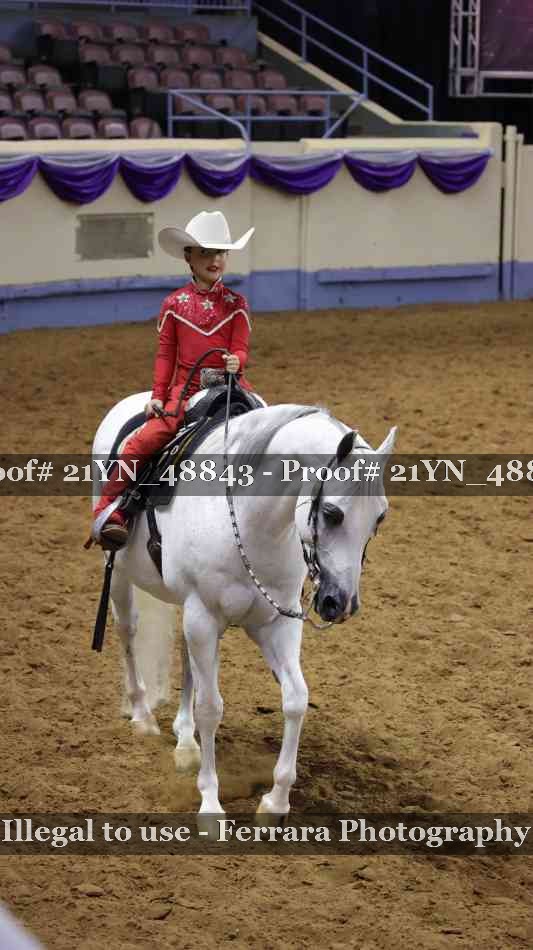 Proof Number 21YN_48843