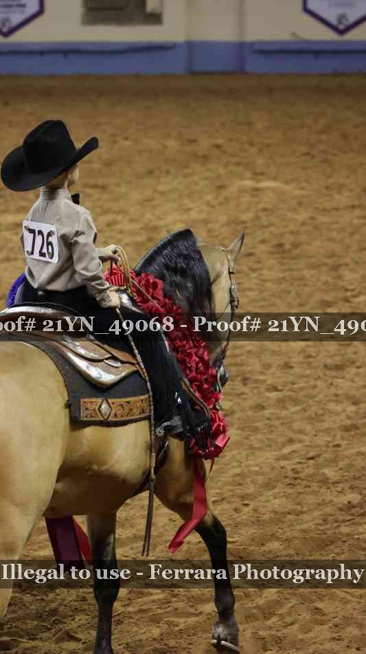 Proof Number 21YN_49068