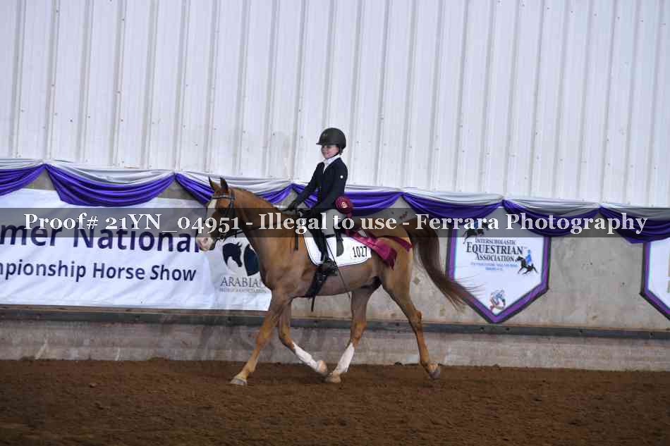 Proof Number 21YN_04951