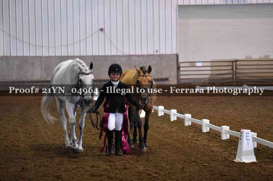 Proof Number 21YN_04964