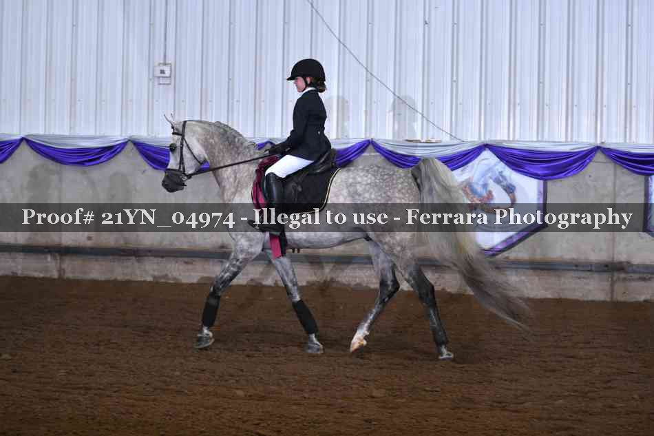 Proof Number 21YN_04974