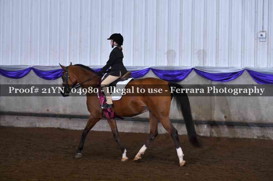 Proof Number 21YN_04980