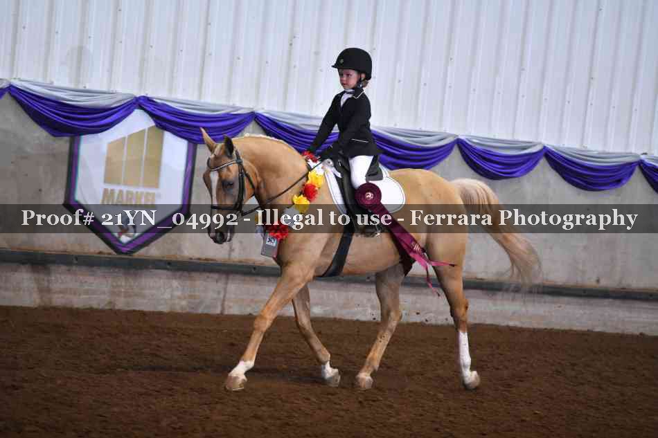 Proof Number 21YN_04992