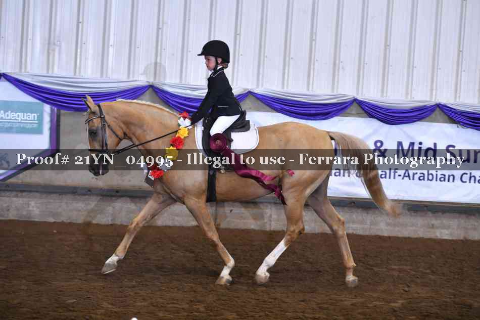 Proof Number 21YN_04995