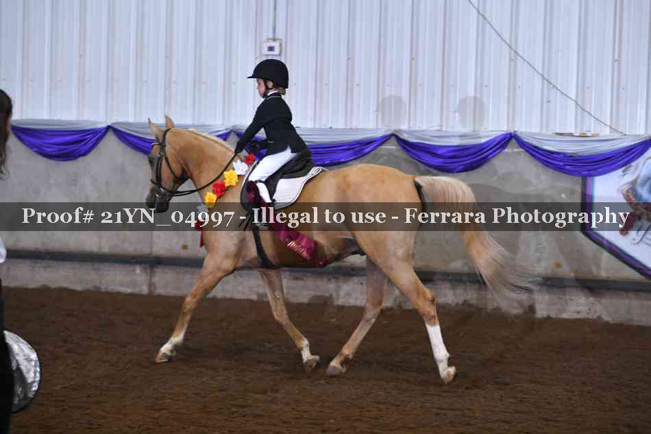 Proof Number 21YN_04997