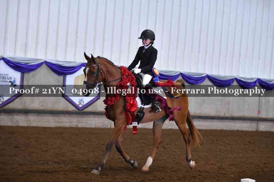 Proof Number 21YN_04998