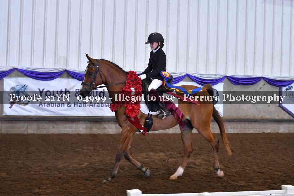 Proof Number 21YN_04999