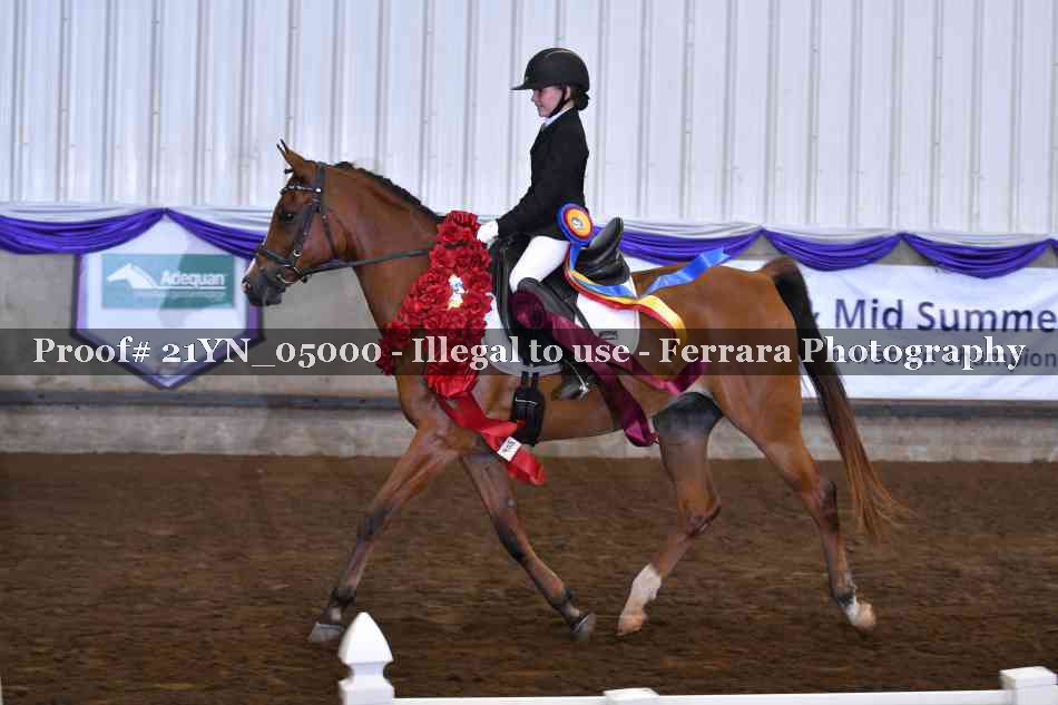 Proof Number 21YN_05000