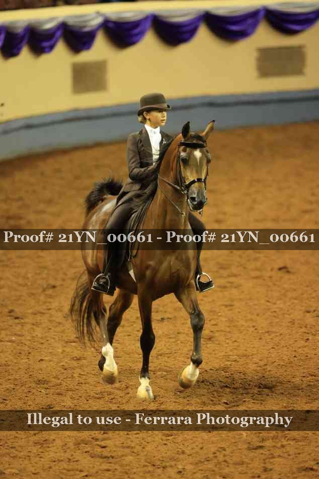 Proof Number 21YN_00661