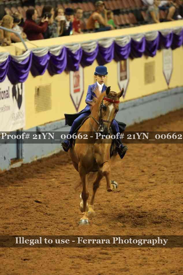 Proof Number 21YN_00662