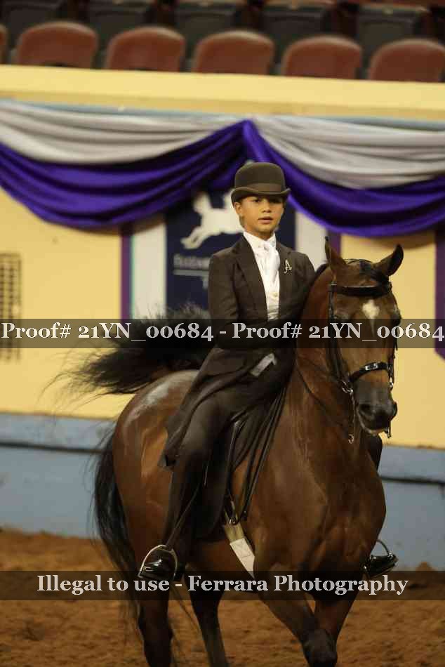 Proof Number 21YN_00684