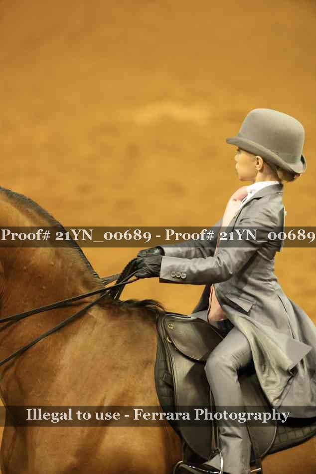 Proof Number 21YN_00689