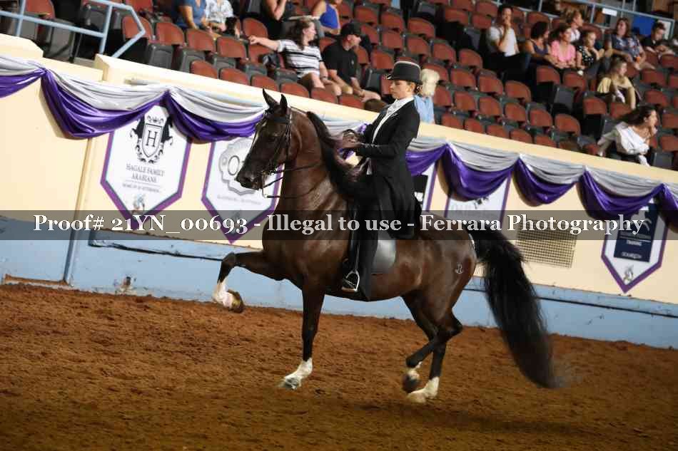 Proof Number 21YN_00693