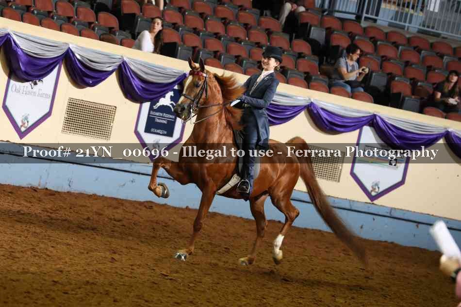 Proof Number 21YN_00696