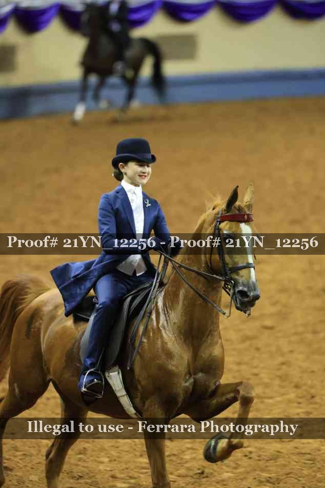 Proof Number 21YN_12256