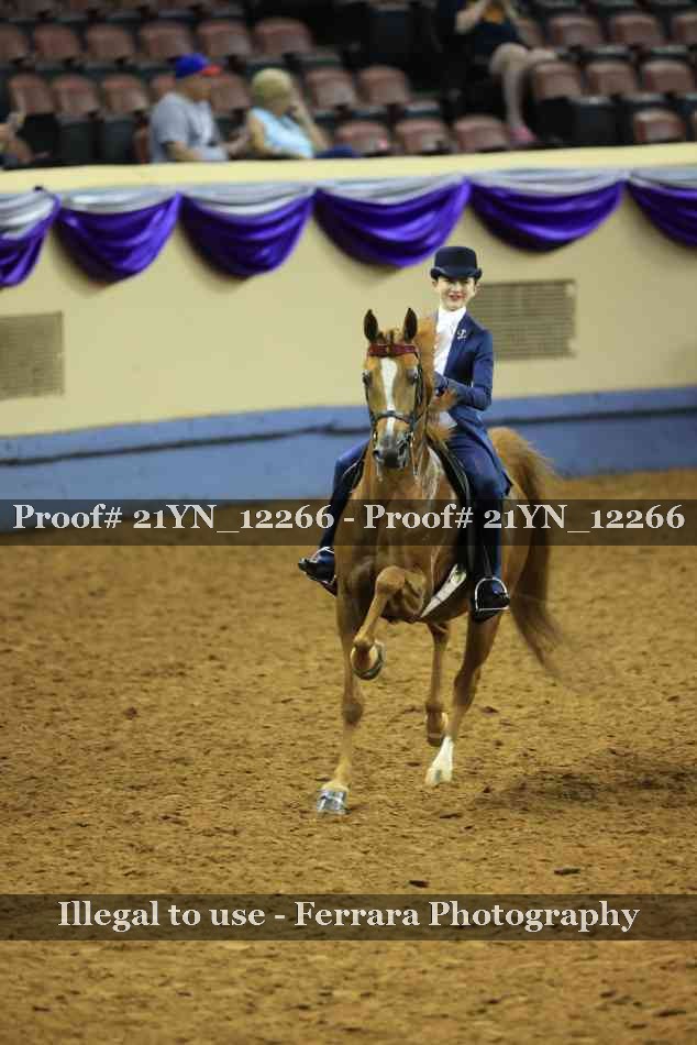 Proof Number 21YN_12266
