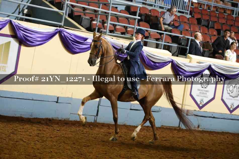 Proof Number 21YN_12271